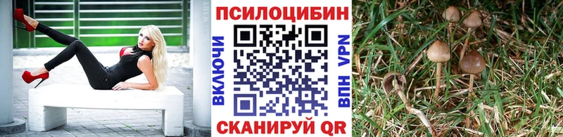 гидра маркетплейс  Балтийск  Галлюциногенные грибы Cubensis 