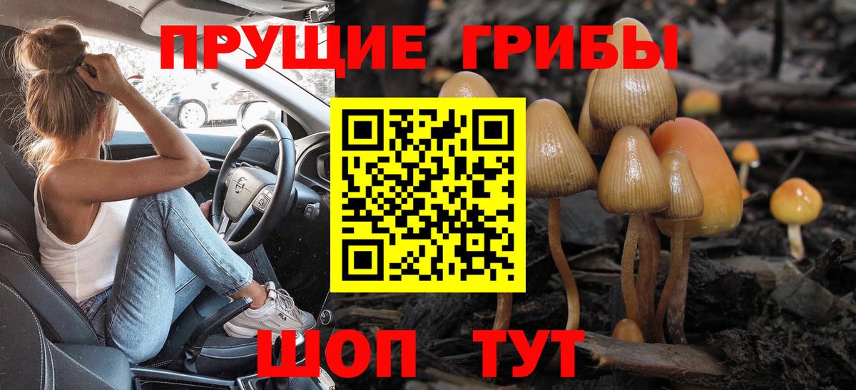 Галлюциногенные грибы MAGIC MUSHROOMS  Галлюциногенные грибы Cubensis  Балтийск  Вход с VPN 