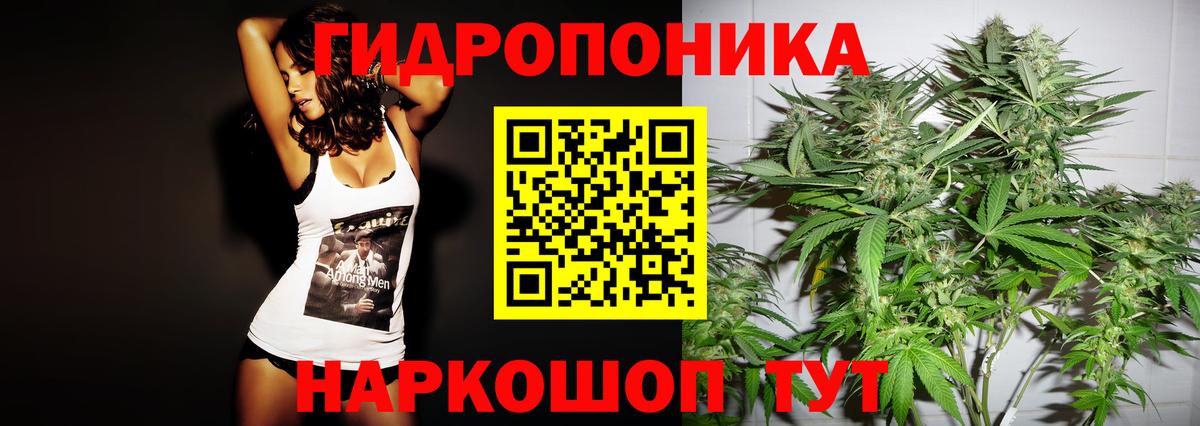 Бошки марихуана THC 21%  Каннабис VHQ  Каннабис тримм  Бошки Шишки OG Kush  Балтийск 