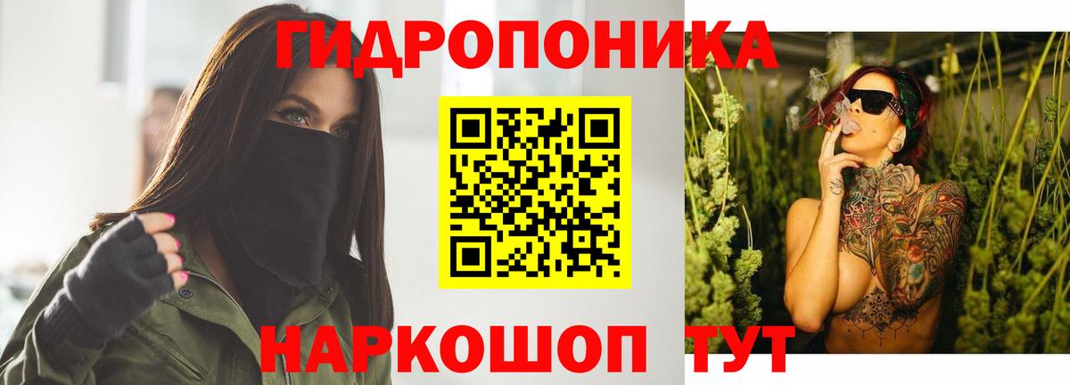 Каннабис гибрид Балтийск